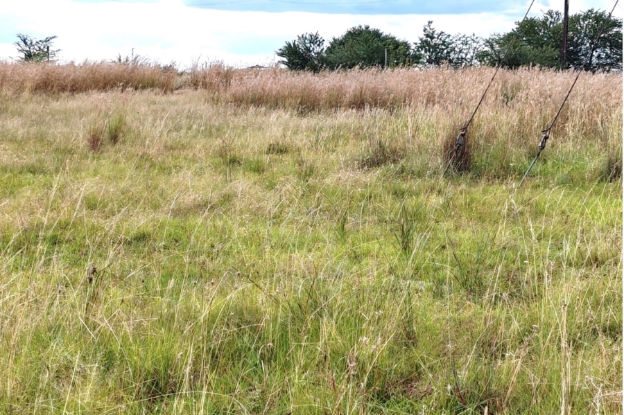 0 Bedroom Property for Sale in Oranjeville Free State